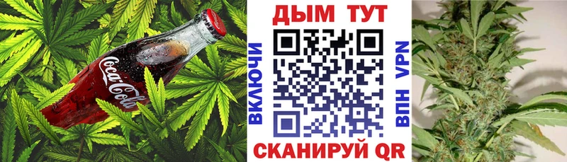 Еда ТГК конопля  Купить  Кировск 
