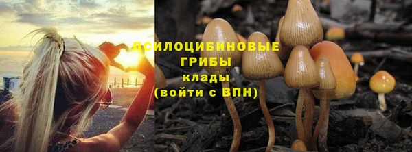 мдма Осинники