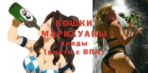 шишки Остров